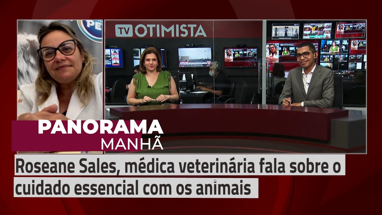 Roseane Sales, médica veterinária fala sobre o cuidado essencial com os animais