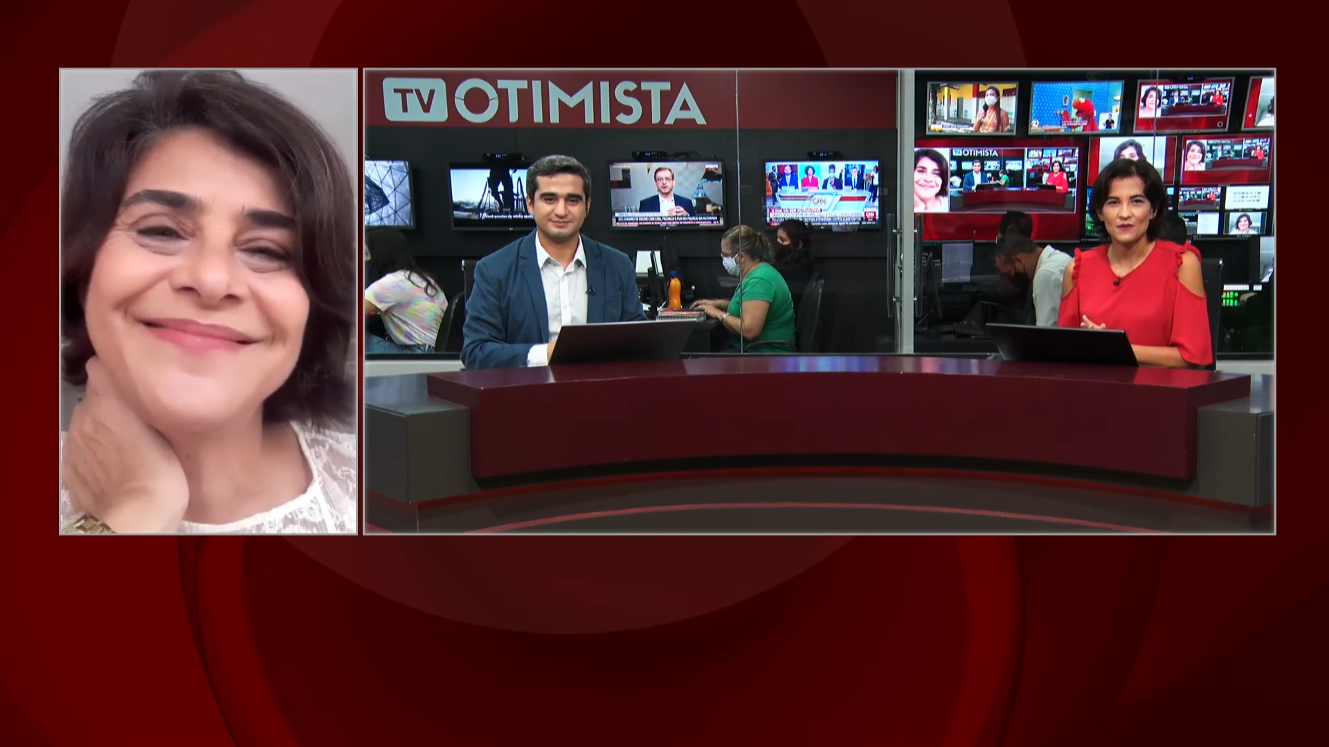 Luiza Perdigão, sec. conselho de altos estudos da AL, explica projeto grandes debates