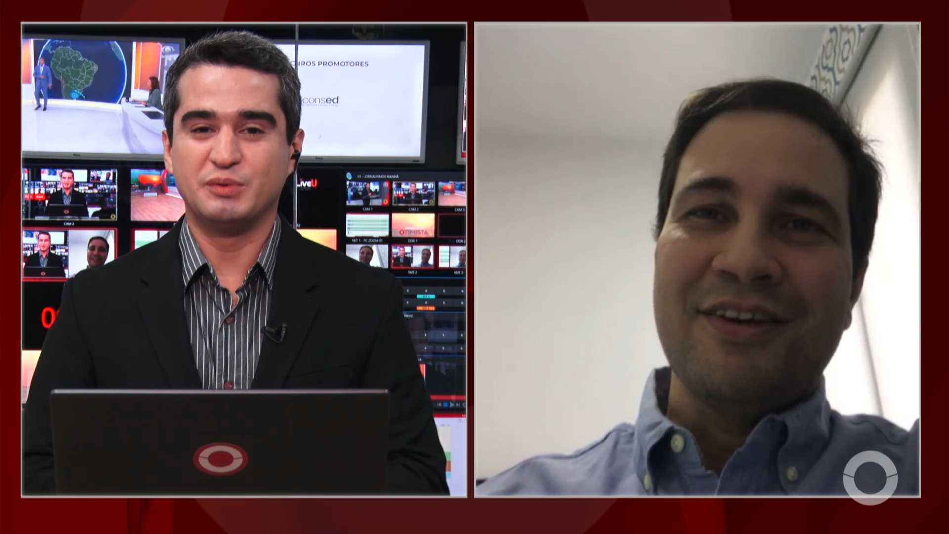 Pesquisadores encontram compostos com atividade anti-inflamatória em planta da caatinga