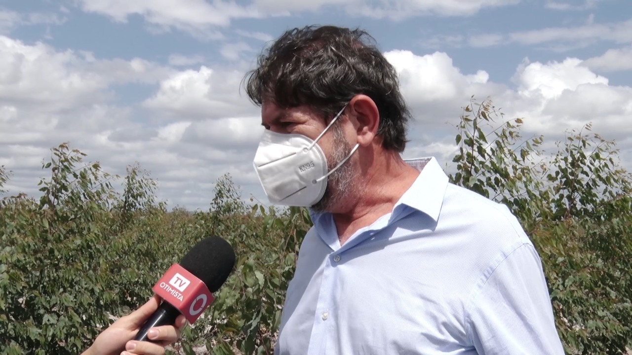 Jacauna inaugura usina solar e reserva de reflorestamento no Ceará