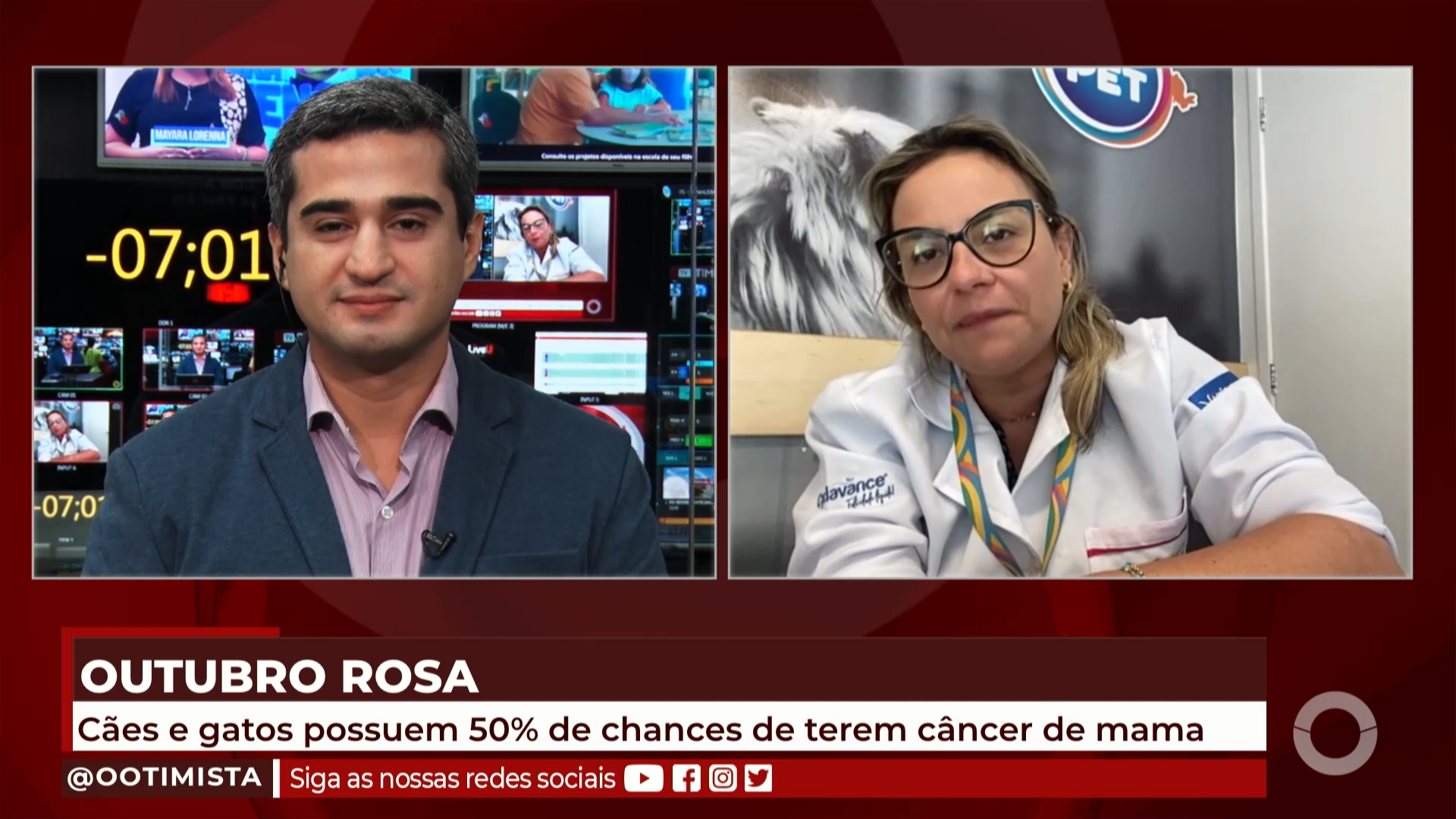 Outubro Rosa: o combate ao câncer de mama nos pets