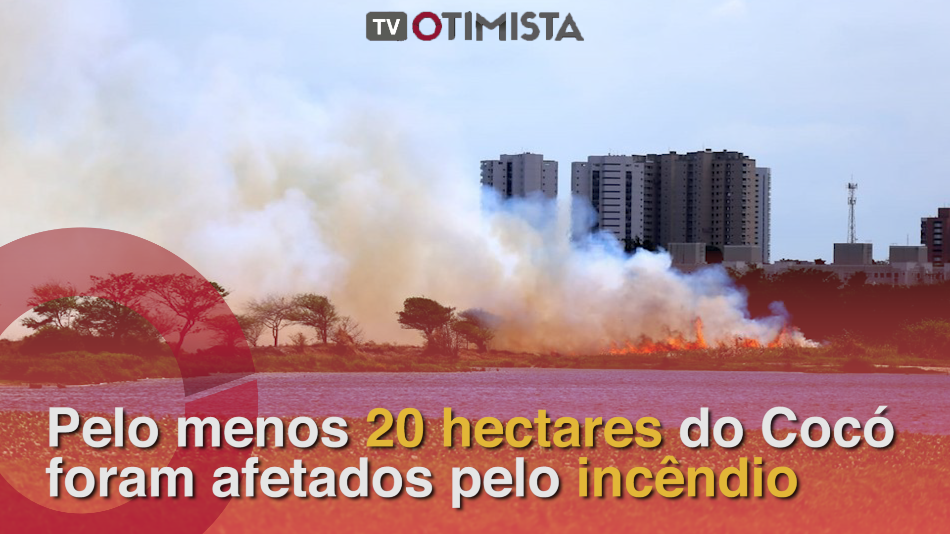 Pelo menos 20 hectares do Cocó foram afetados pelo incêndio