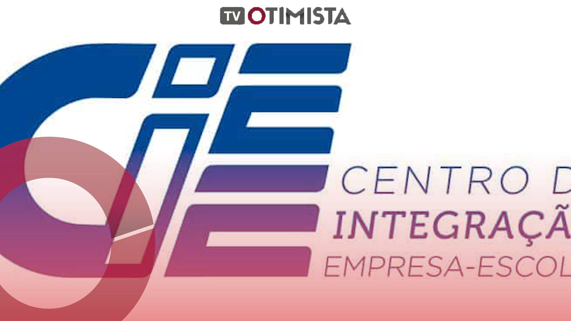CIEE espera abrir mais de 55 mil vagas de estágio e aprendizagem entre dezembro e janeiro