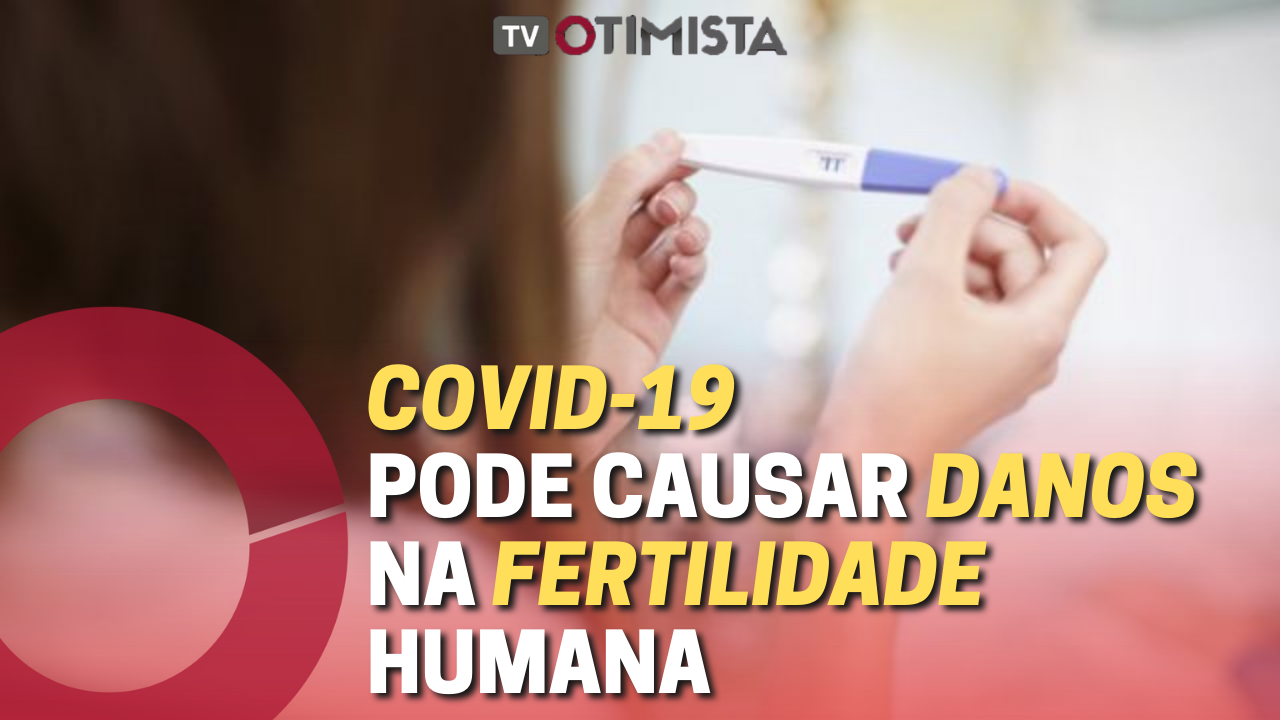 COVID-19 pode causar danos na fertilidade